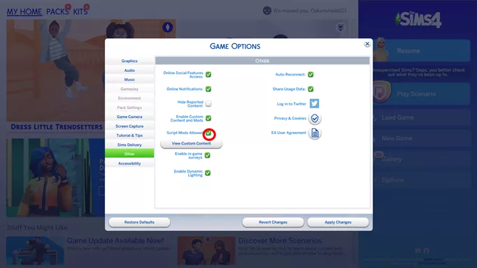 The Sims, enable script mods options